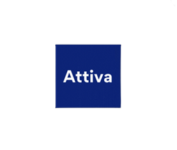 Attiva srl